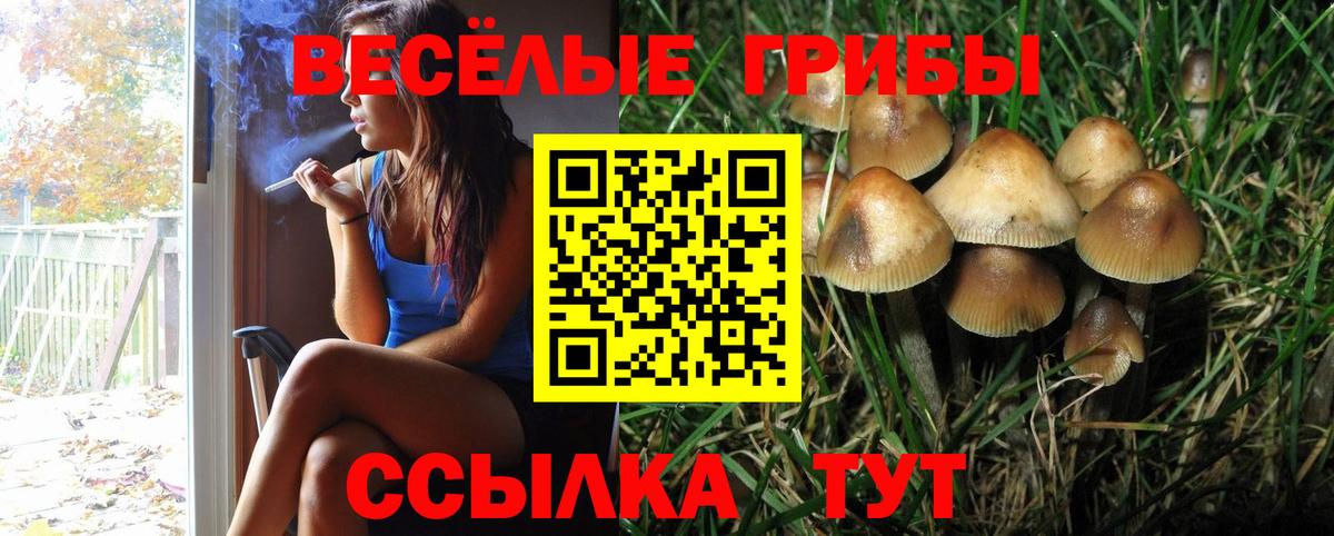 КОКАИН Фрязино