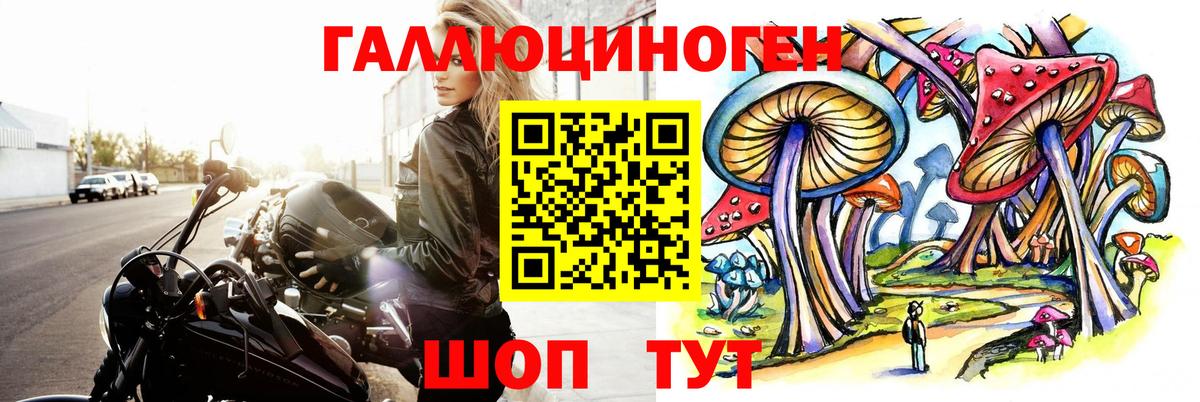 Фрязино  Галлюциногенные грибы Cubensis  Вход с VPN  Псилоцибиновые грибы Cubensis 