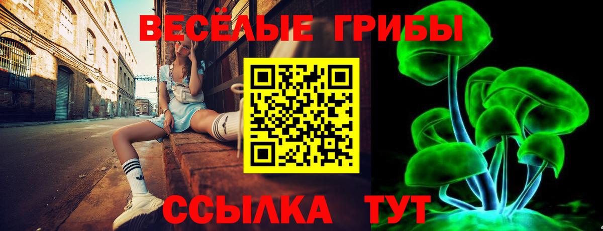 Галлюциногенные грибы Psilocybe Фрязино